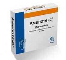 Amelotex injekcije upute za uporabu