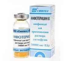 Amfotericin B