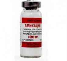 Amikacin Uputstvo za upotrebu