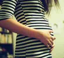 Četvrtom mjesecu trudnoće