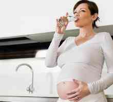 Možete piti trudnica?