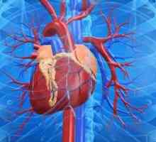 Hronične zatajenja srca: simptomi, liječenje