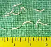 Enterobiasis (pinworm)