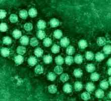 Enterovirus infekcije