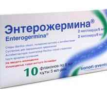 Enterozhermina