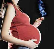 Nove studije su u stanju da uvjeriti trudnice prestati pušiti