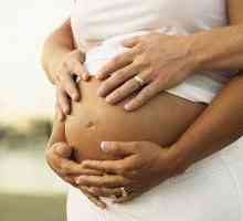 Prijete infekcije u trudnoći