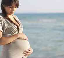 Optimalni interval između trudnoće - ne manje od jedne i pol godine