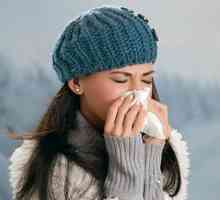 Virus gripa napada zaštititi estrogeni i dnevni sportski