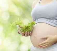 Hrana sa vitaminom D u ishrani trudnica za zaštitu djece od alergija