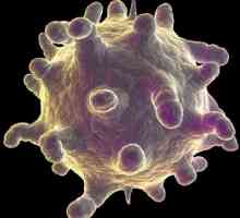 Rinovirus infekcije