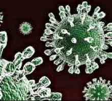 Rotavirus infekcije kod beba