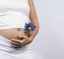 Transplantacija maternice može dati ženama radost majčinstva