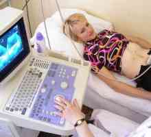 Ultrazvučna dijagnostika (ginekološki ultrazvuk)