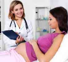 Ureaplazma u trudnoći