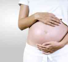Ureaplazma urealitikum tokom trudnoće