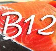 Vitamin B12 (cijanokobalamin)