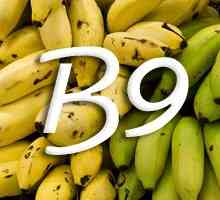 Vitamin B9 (folna kiselina)