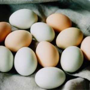 Dnevne potrošnje jaja ne uzrokuje srčane udare