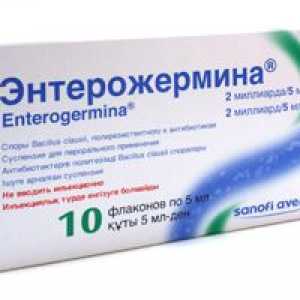 Enterozhermina