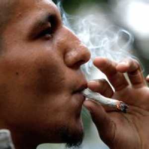 Marihuana smanjuje sposobnost čovjeka da zatrudne