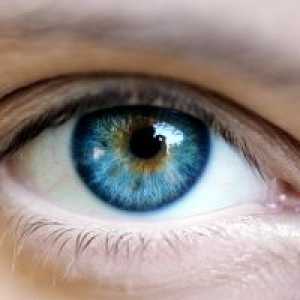 Onkologije oči