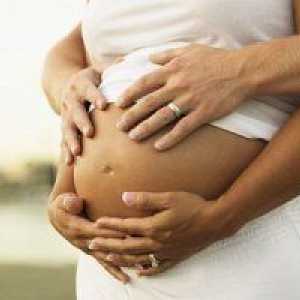 Prijete infekcije u trudnoći