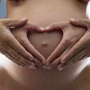 Priprema i planiranje trudnoće