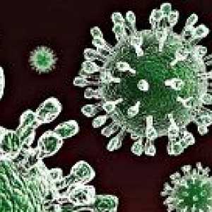 Rotavirus infekcije kod beba