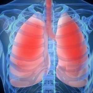 Simptomi bronhitisa kod odraslih