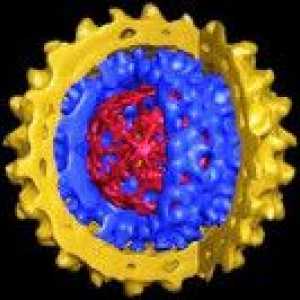Virusni hepatitis D