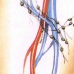 Otok limfnih čvorova u preponi kod muškaraca i žena
